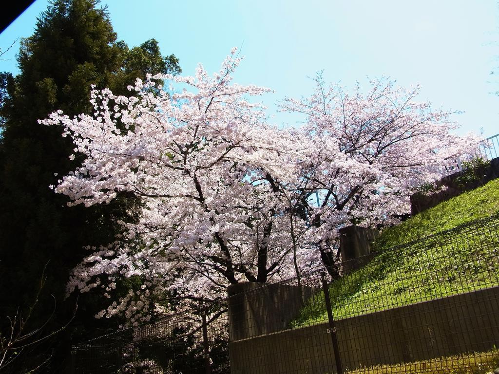 Guesthouse Engawa เกียวโต ห้อง รูปภาพ